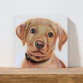 Labrador Canvas Art - Labrador Love by Chris Tutty