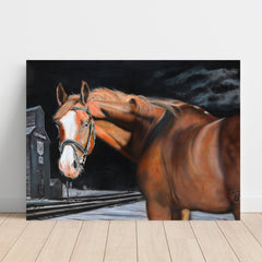 "Horse with No name" by Chris Tutty