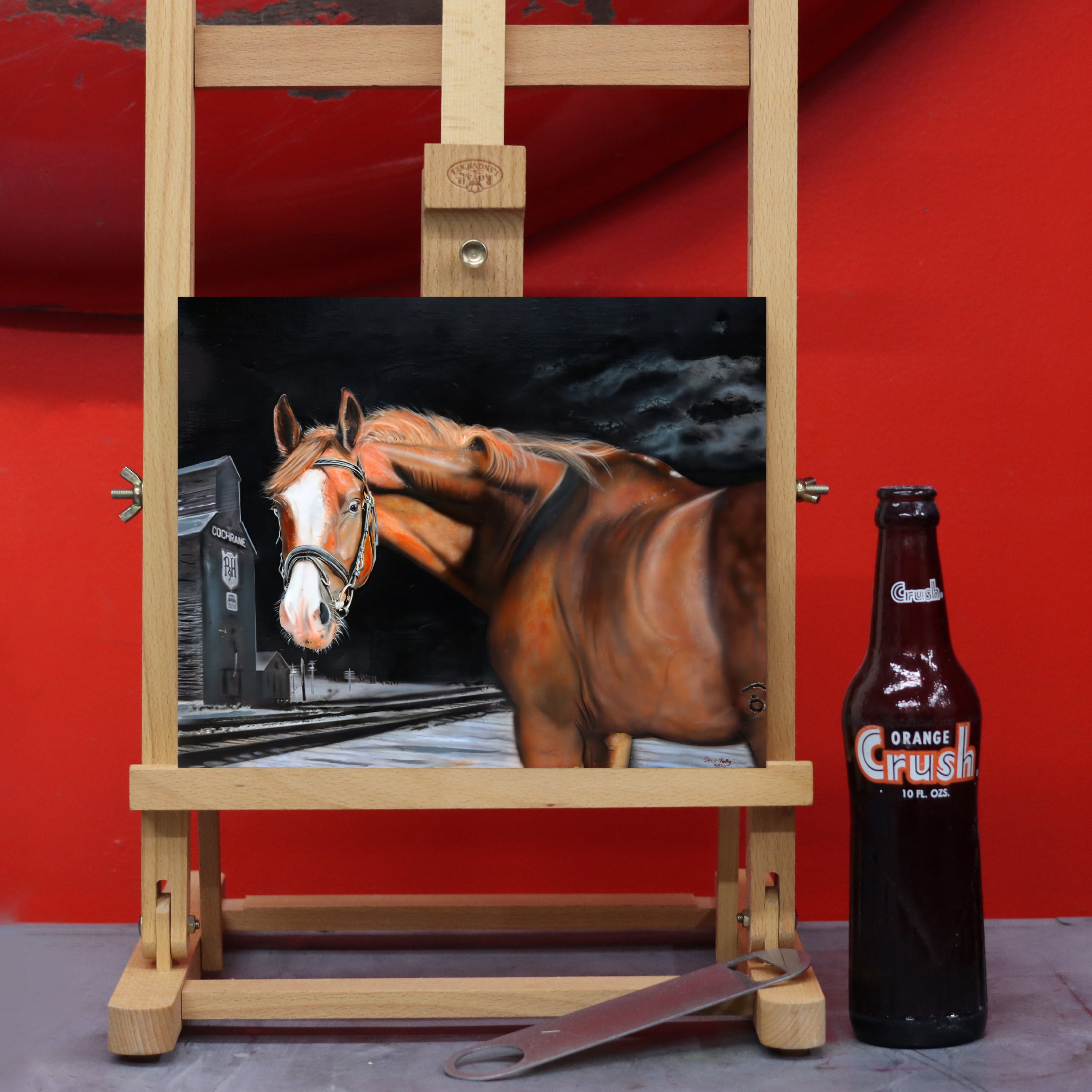 "Horse with No name" by Chris Tutty